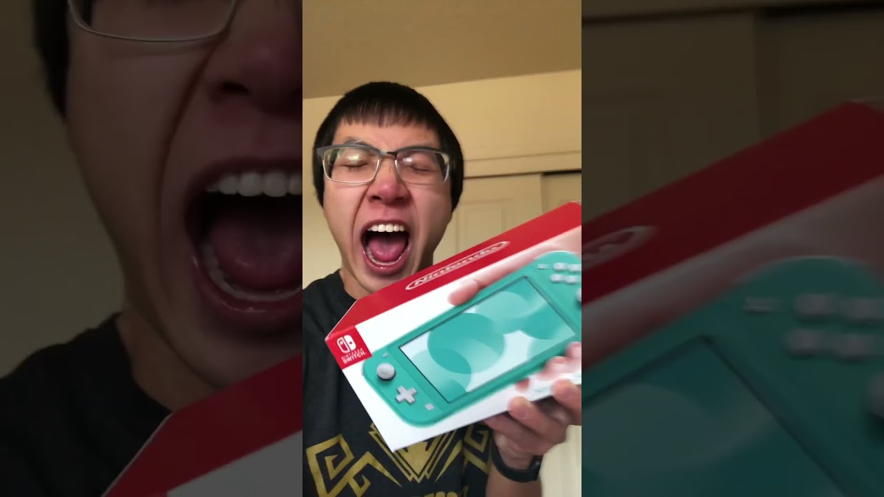 I hate the Switch Lite.