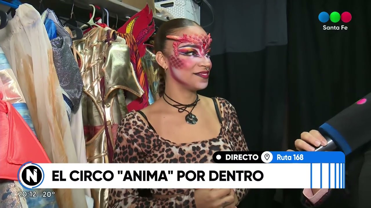 Espectáculos: El circo 