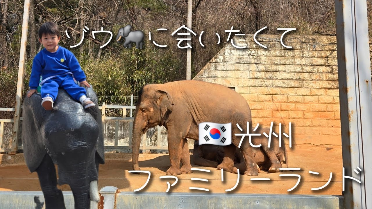 【광주】無料動物園🐘6月で閉園のファミリーランドへ行ってきたよ🌼