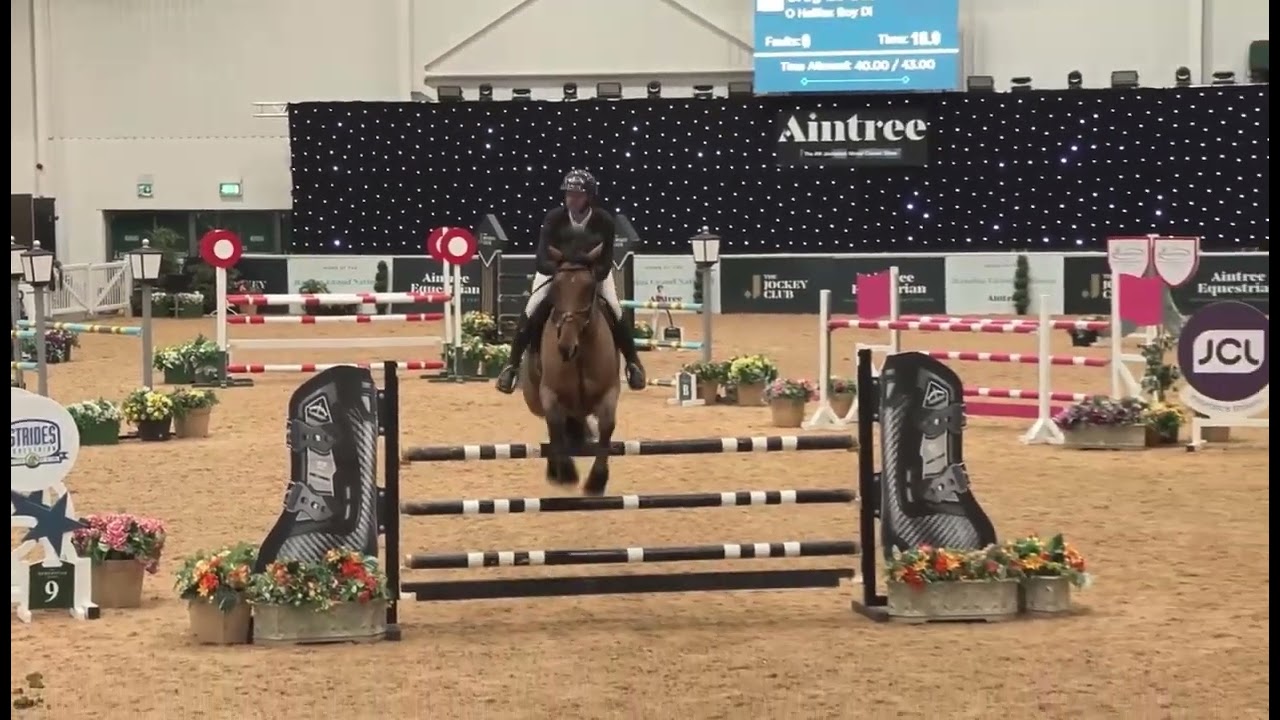 O Halifax Boy Grade C Q 25th Jan 26 Aintree Winter Classic 