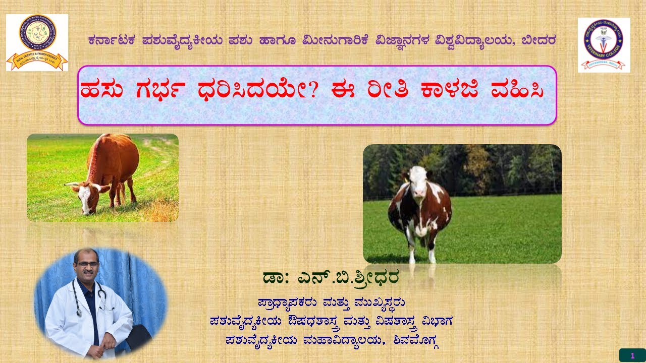 ಗರ್ಭಧರಿಸಿದ ಆಕಳಿನ ಪಾಲನೆ ಮತ್ತು ಪೋಷಣೆ  MANAGEMENT OF PREGNANT COW IN KANNADA BY DR N B SHRIDHATR