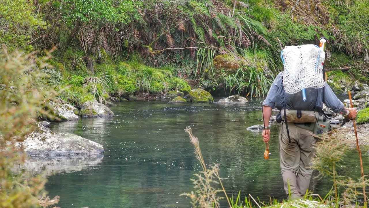 FISHING a BEAUTIFUL River for BIG Trout [CAMP OUT]