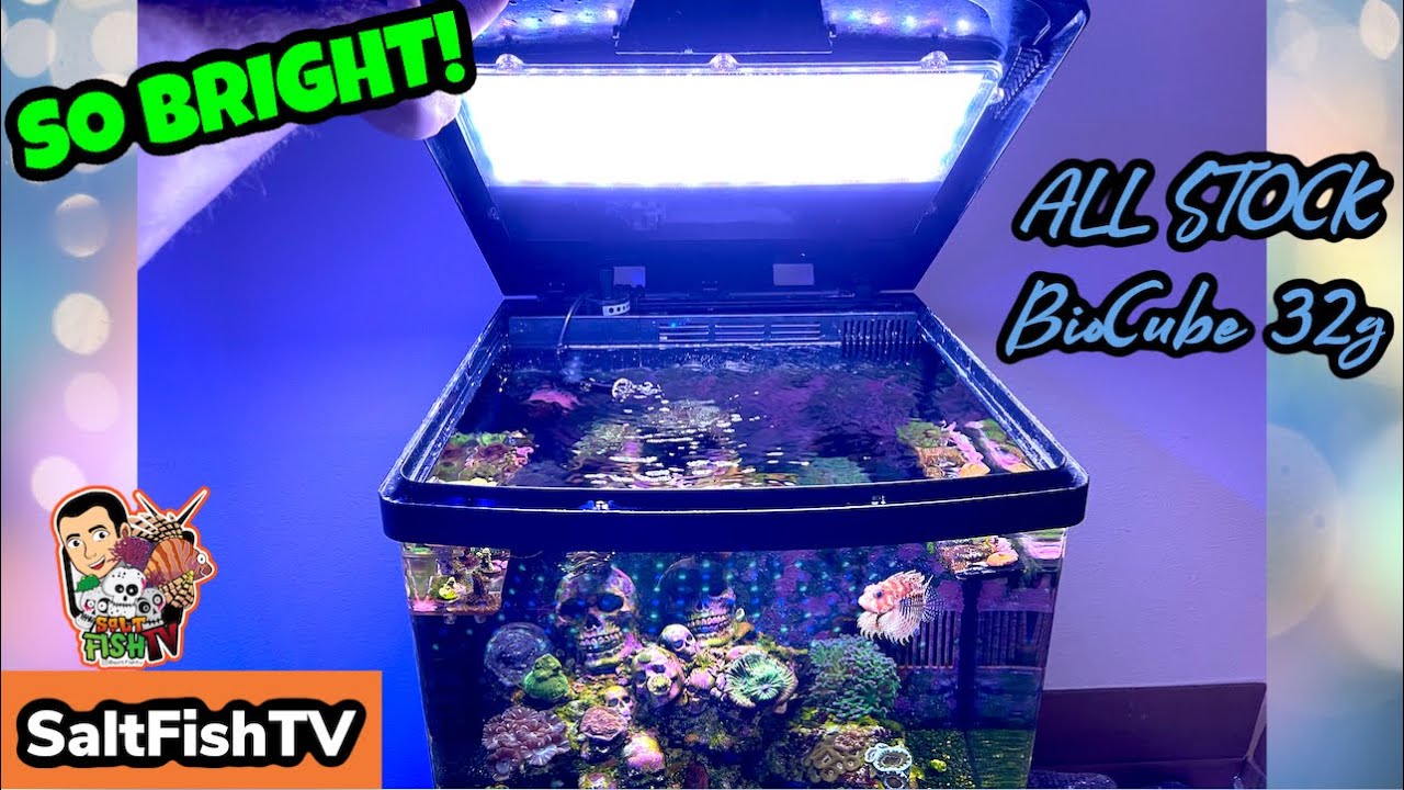STOCK BioCube 32g LED Light PAR! (Photosynthetic Active Radiation) - Nano Reef Tank