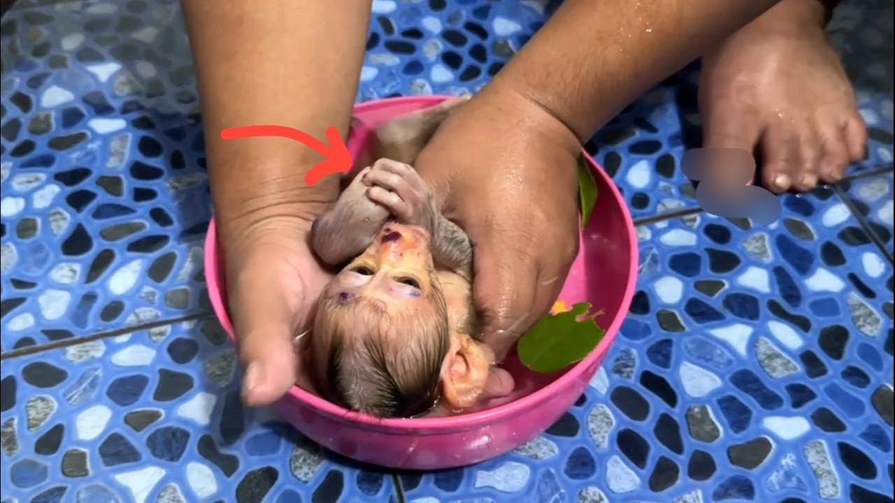 NB Huq Hands Full Meaninq To Tell Dad She To Much H-  rttt