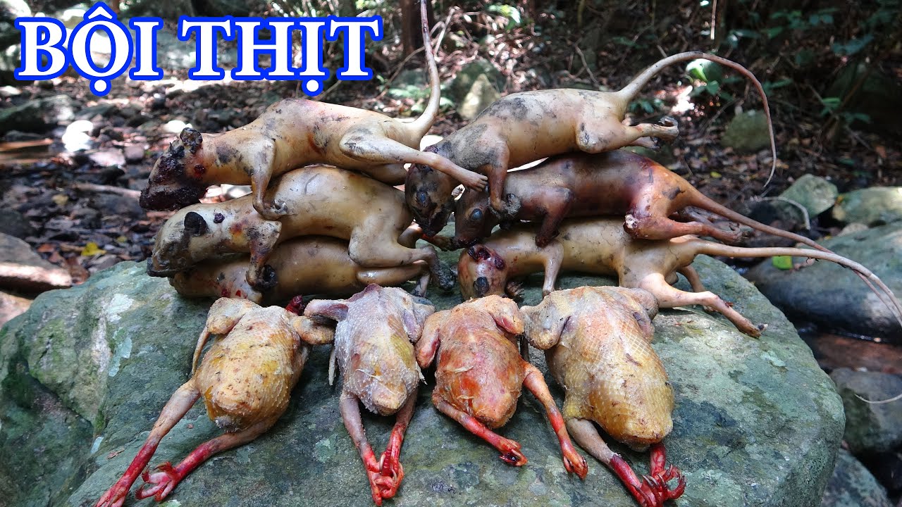BỘI THU THỊT RỪNG, SĂN MẬT ONG RỪNG, NGỦ RỪNG - M&Ugrave;A MẬT ONG RỪNG 2024 | T8