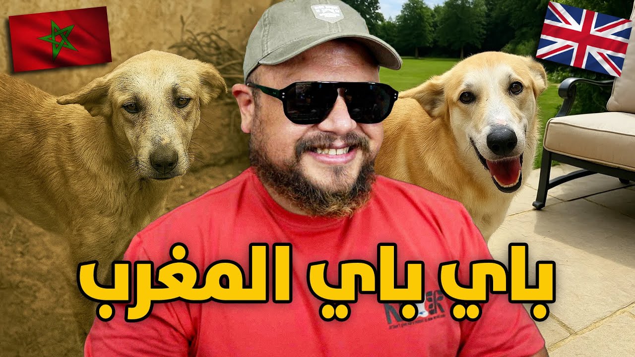 أكثر كلب محظوظ في المغرب كامل