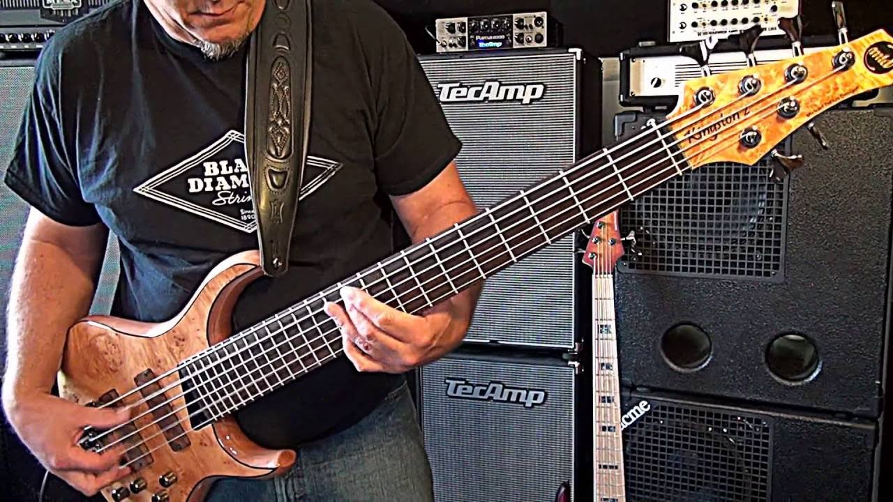 MTD Kingston Z6 - TechAmp Puma 1000/Classic 2x12 - Andy Irvine
