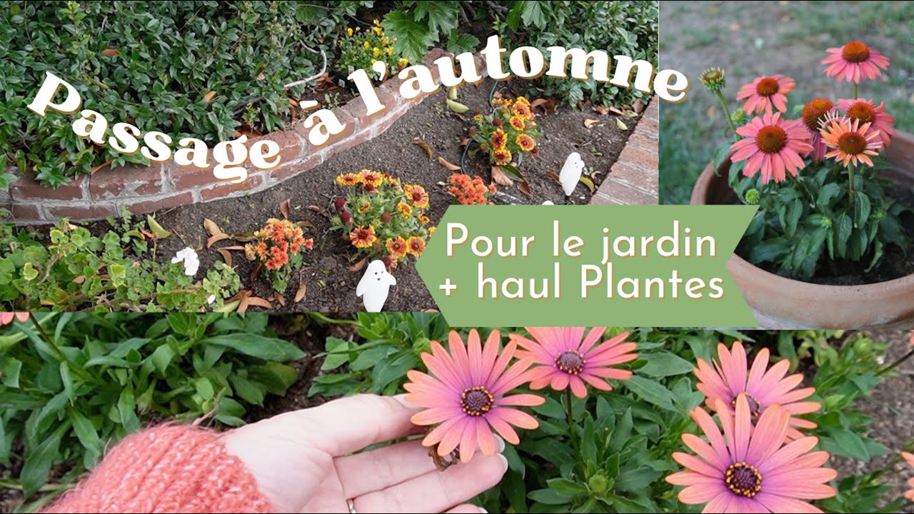 Je plante mon jardin d'automne + haul plantes