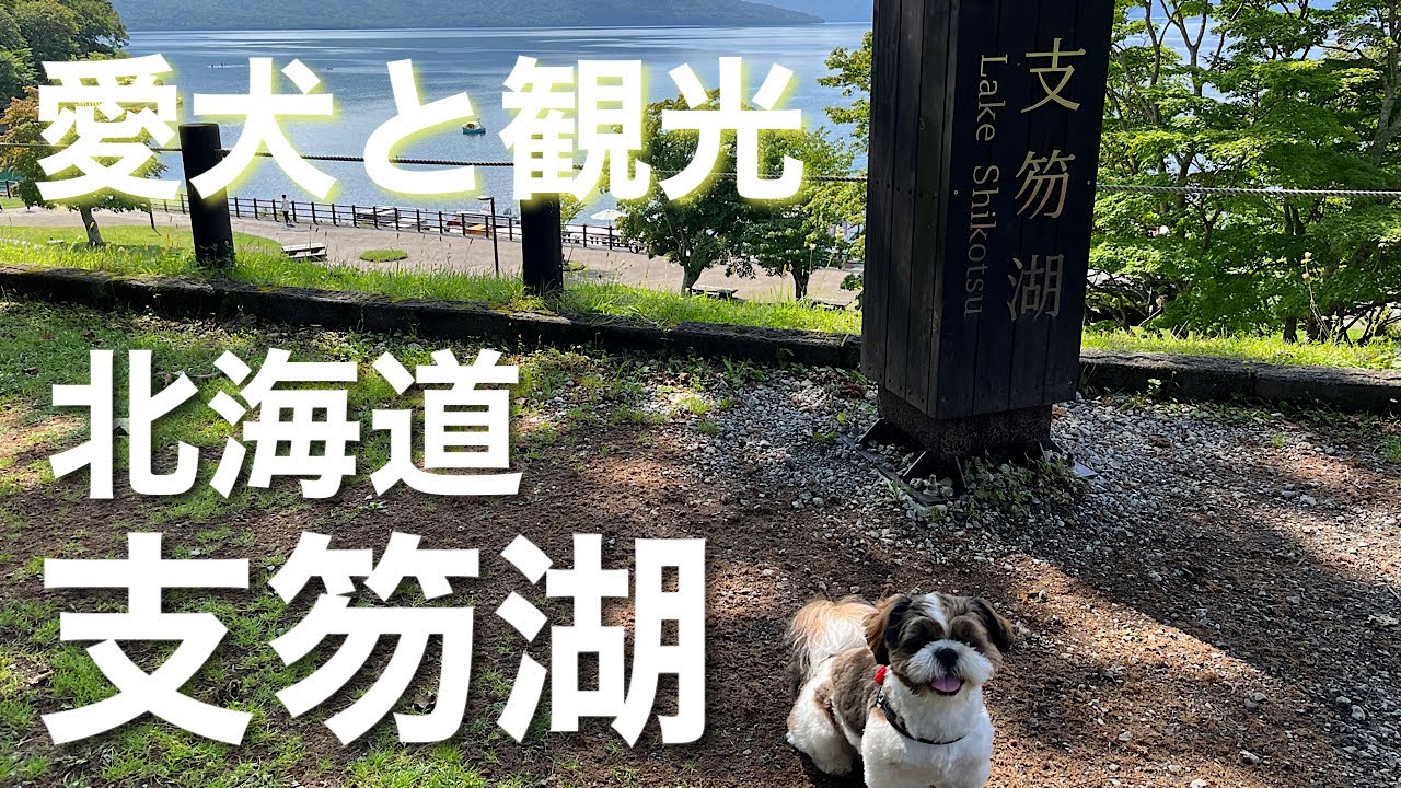 【シーズー犬】北海道〜支笏湖ドライブ&お散歩