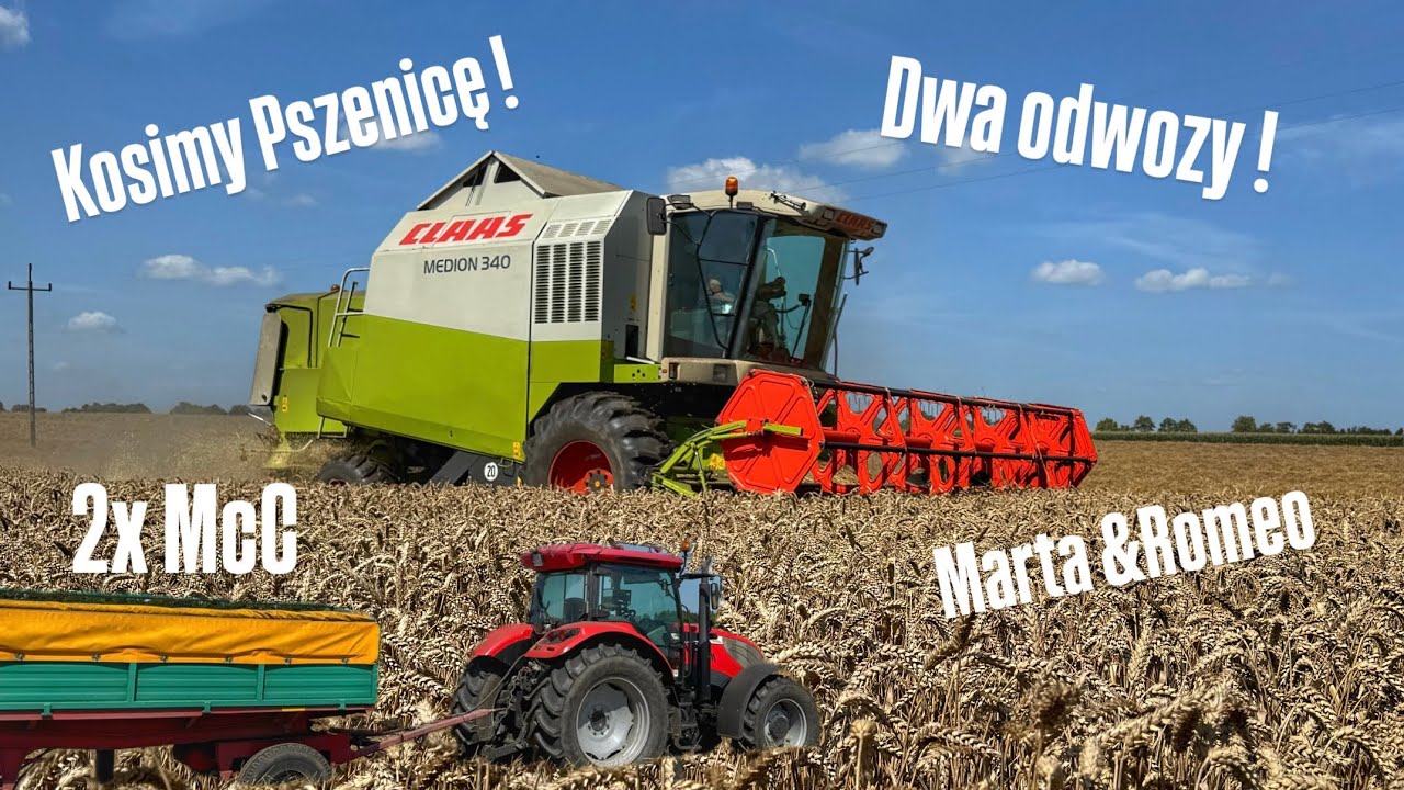 Kosimy Pszenicę! Sypanie w locie… dwa zestawy🔥Marta,Romeo!🚜TopOptimus 9 dni po siewie!!🔥