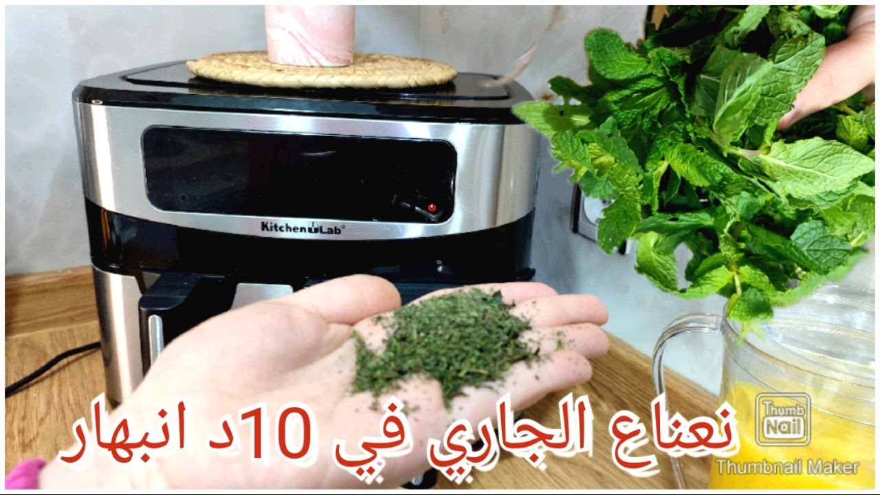 تجفيف النعناع لرمضان في المقلاة الهوائية لايصدق /لوبيا بالواسطة باش نلقاوها /روتين مشترياتي لازمين