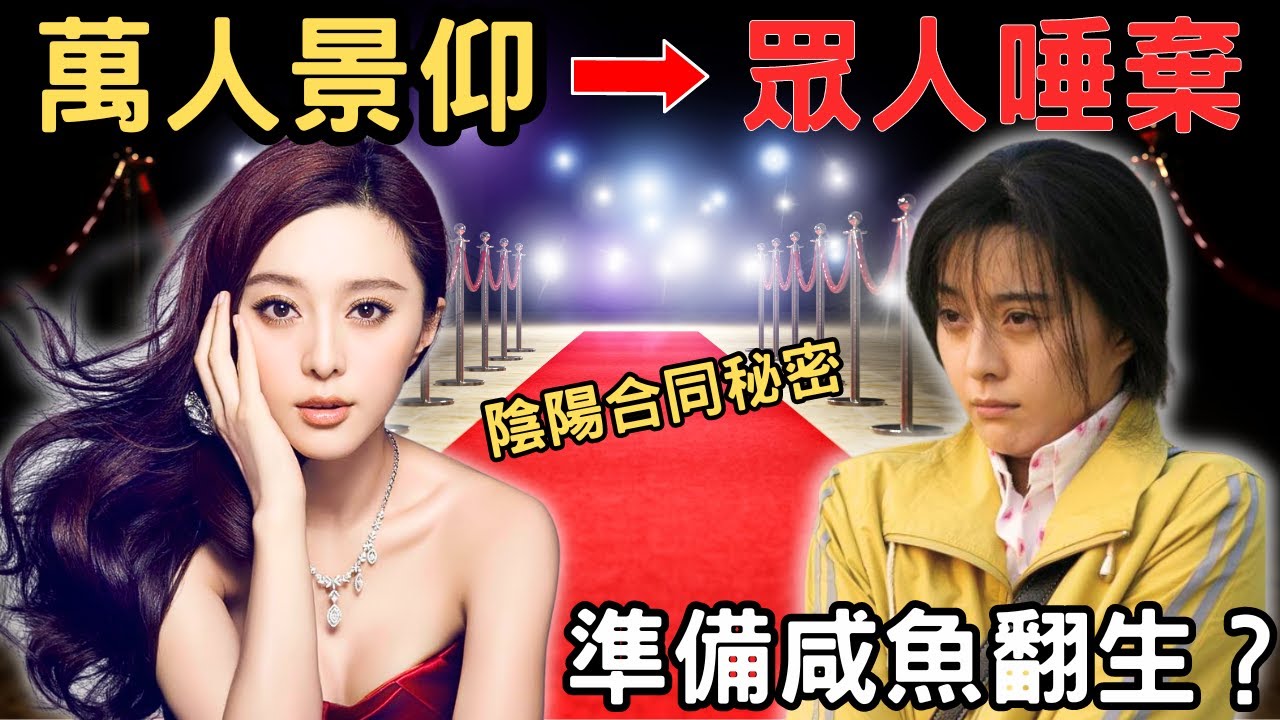 努力成為一個當紅嘅明星，最後由萬人景仰，到眾人唾棄， 因為陰陽合同被罰款九億， 一鋪清袋鋪清。當中的秘密，全靠男人上位？到底有幾多個契爺？康城影展準備咸魚翻生？Z檔案｜奇案調查｜范冰冰｜洪金寶｜馮小剛