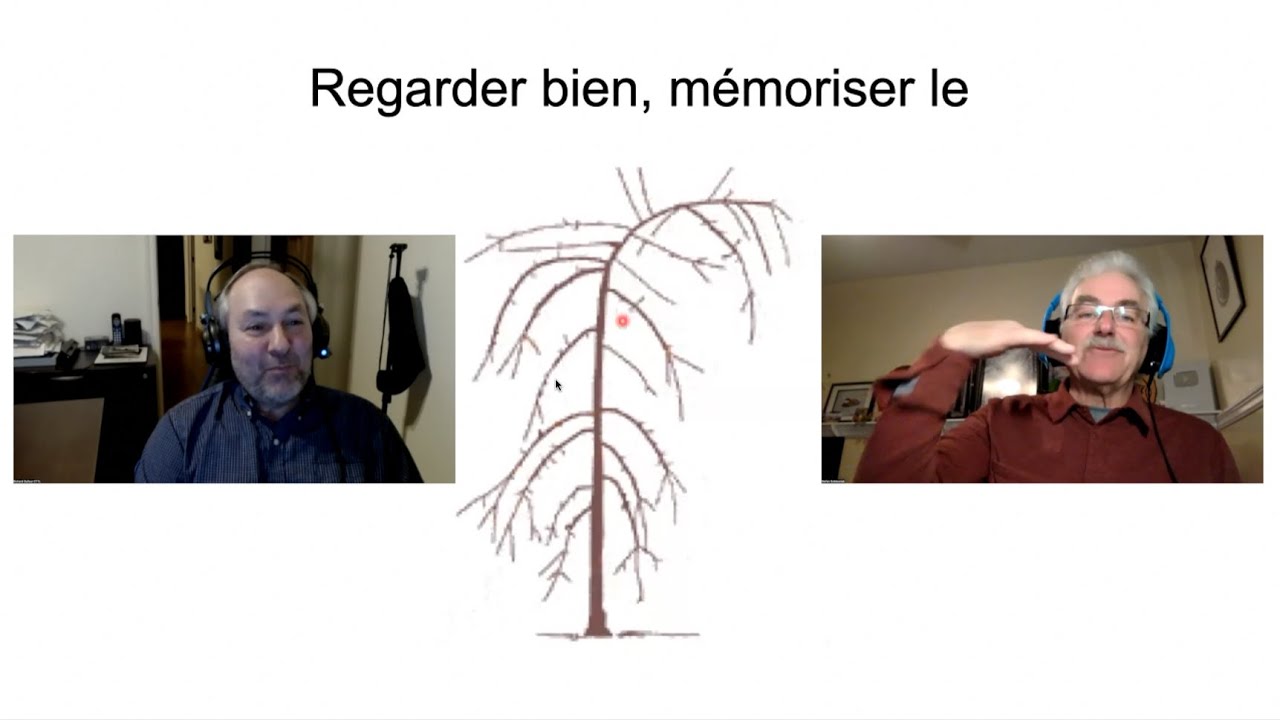 Comment Tailler et Former vos Arbres Fruitiers - Étape par Étape un Guide Simple