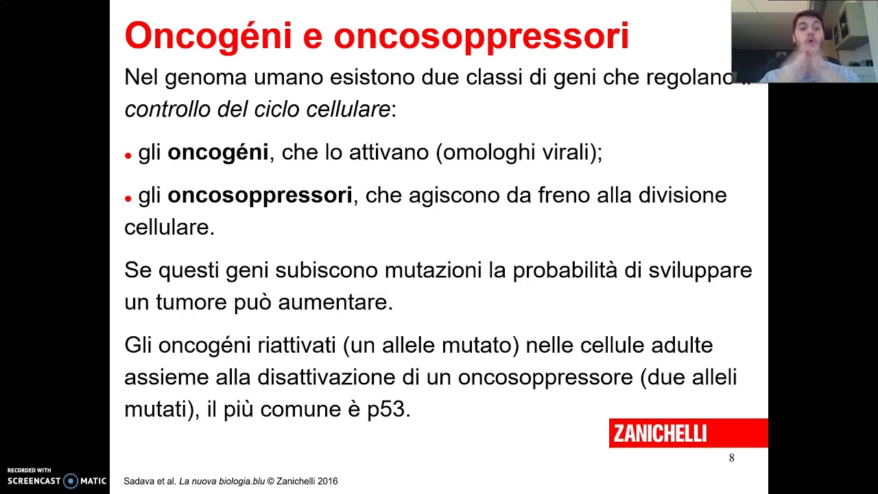 Oncogeni ed oncosoppressori