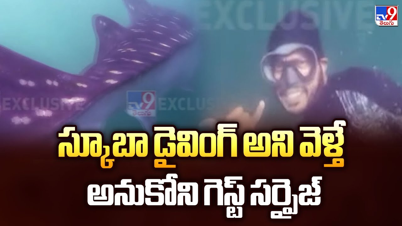 Scuba diving in Vizag : స్కూబా డైవింగ్‌ అని వెళ్తే.. ఊహించని సర్‌ప్రైజ్  - TV9