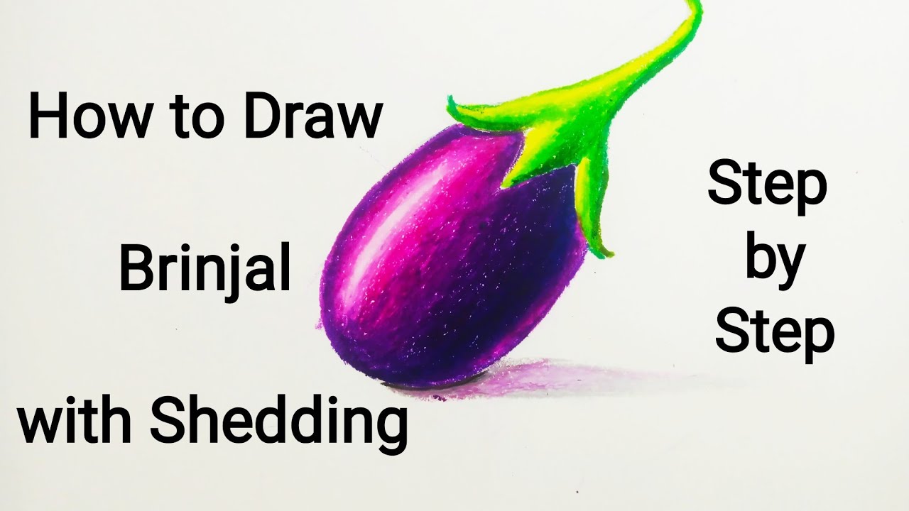 How to draw Object drawing Brinjal step by step for Elementary, Intermediate exam by Salman Ahmed