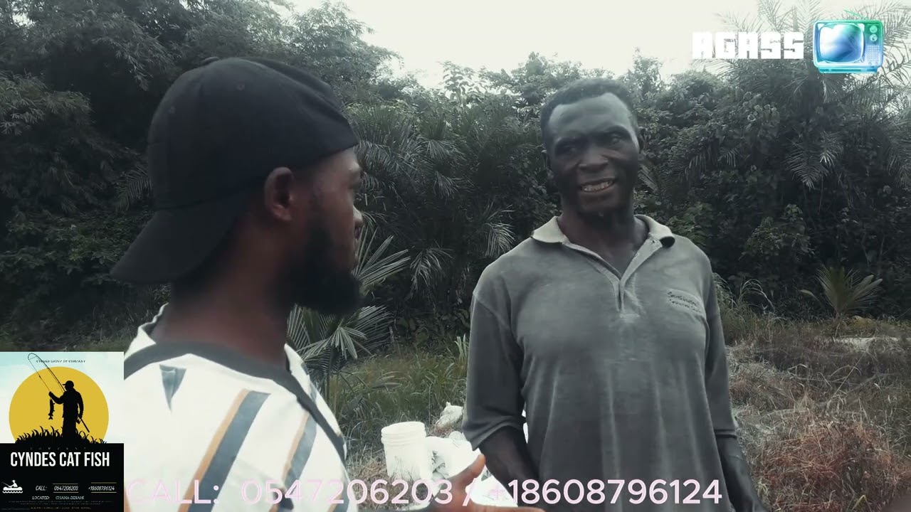 Biggest catfish farm in Ghana