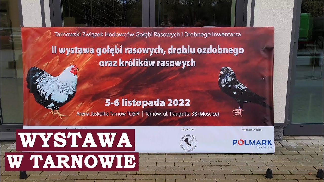 II WYSTAWA GOŁĘBI RASOWYCH, DROBIU OZDOBNEGO ORAZ KRÓLIKÓW RASOWYCH TARNÓW 5-6 LISTOPADA 2022
