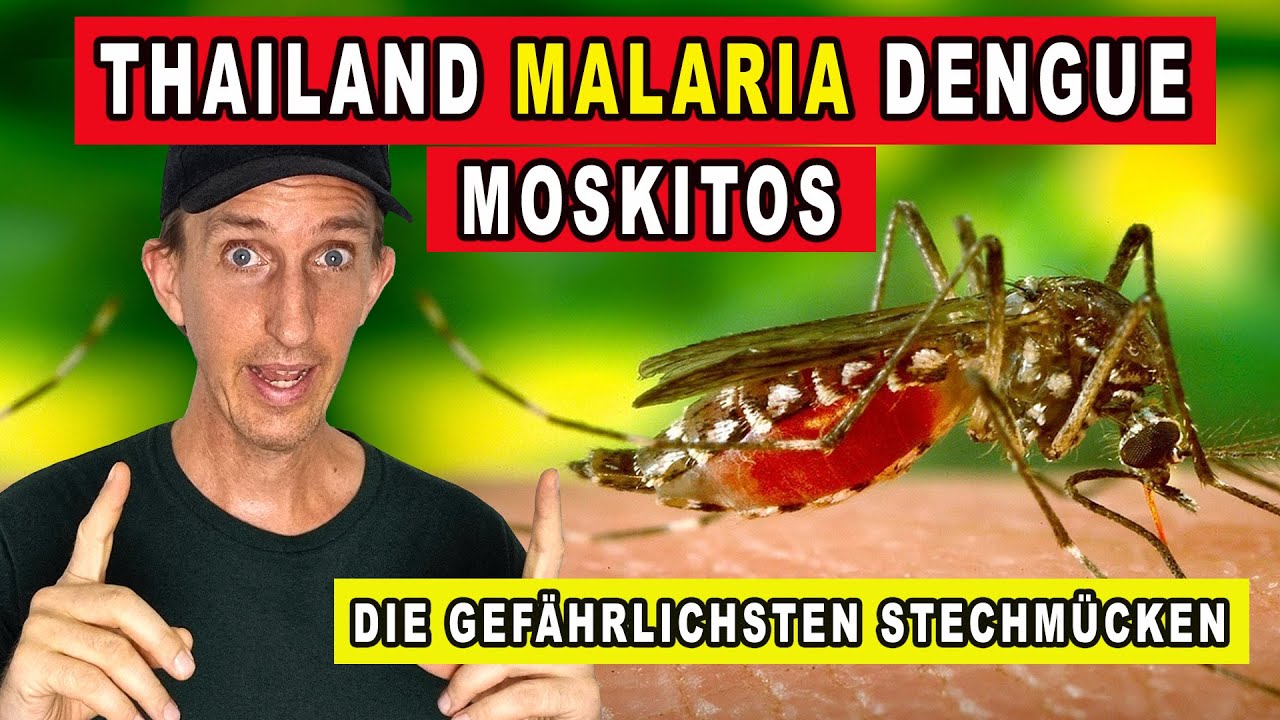 THAILAND MALARIA, DENGUE-FIEBER und ANDERE KRANKHEITEN [Stechmücken in  Thailand]