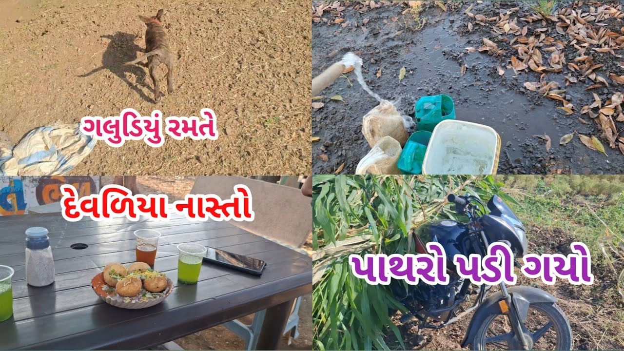 દેવળિયા ગયા 😀 અને પાથરો ગાડીમાં સમાણો નહીં 😱#mehulbhaivloge #vlog 