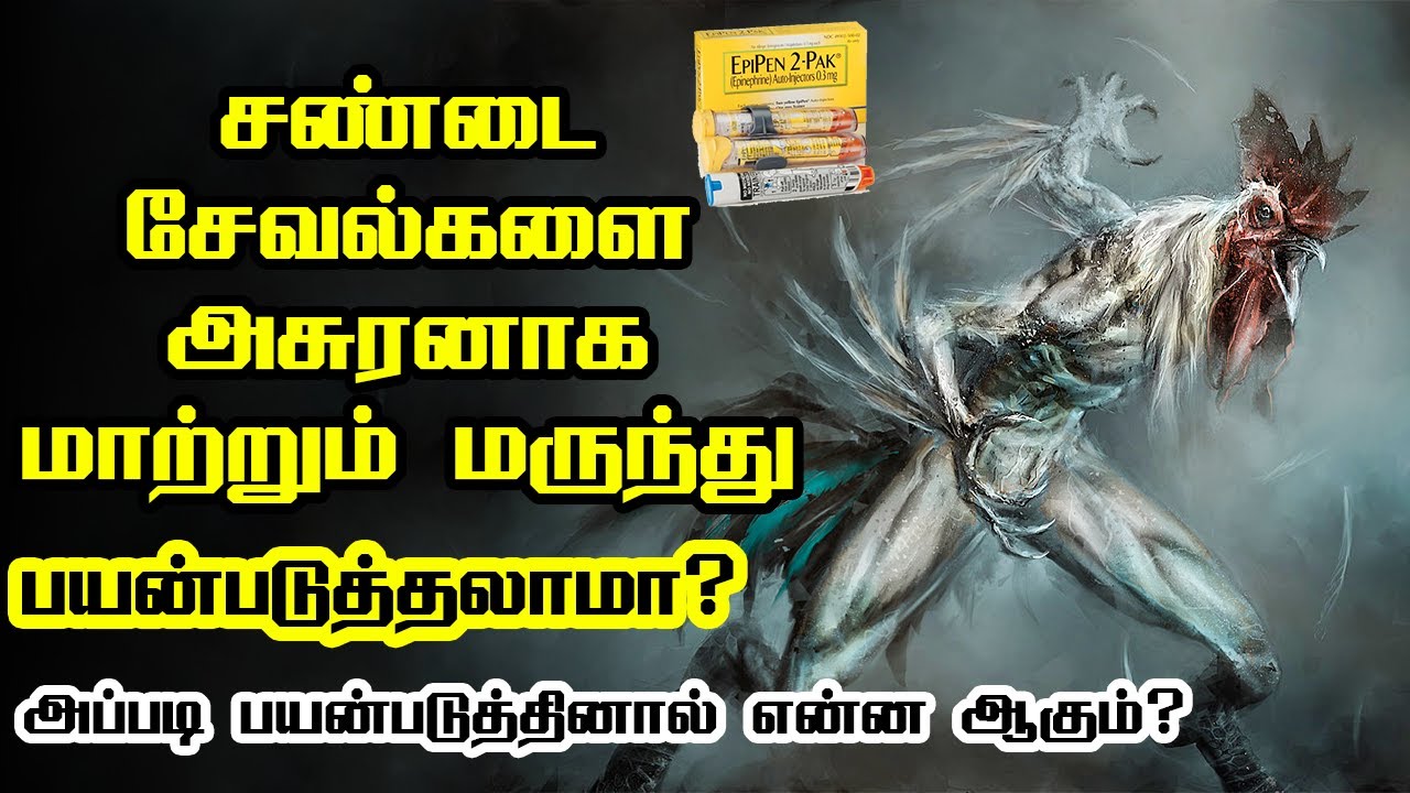 சேவல்களை அசுரனாக மாற்றும் மருந்து | பயன்படுத்தினால் என்ன ஆகும்?  | Can I use EpiPen injection?