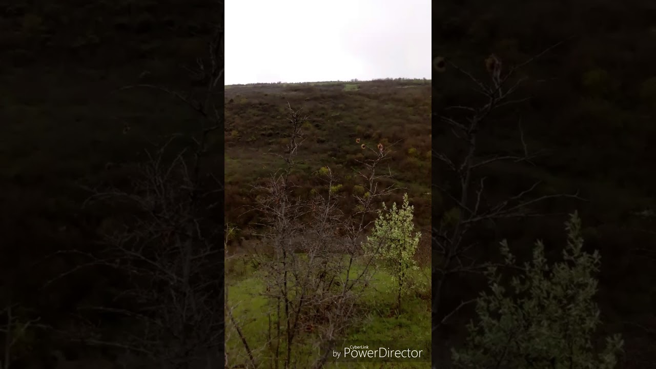 Mollaisaqli kendi qisa film. Volume 03/2018