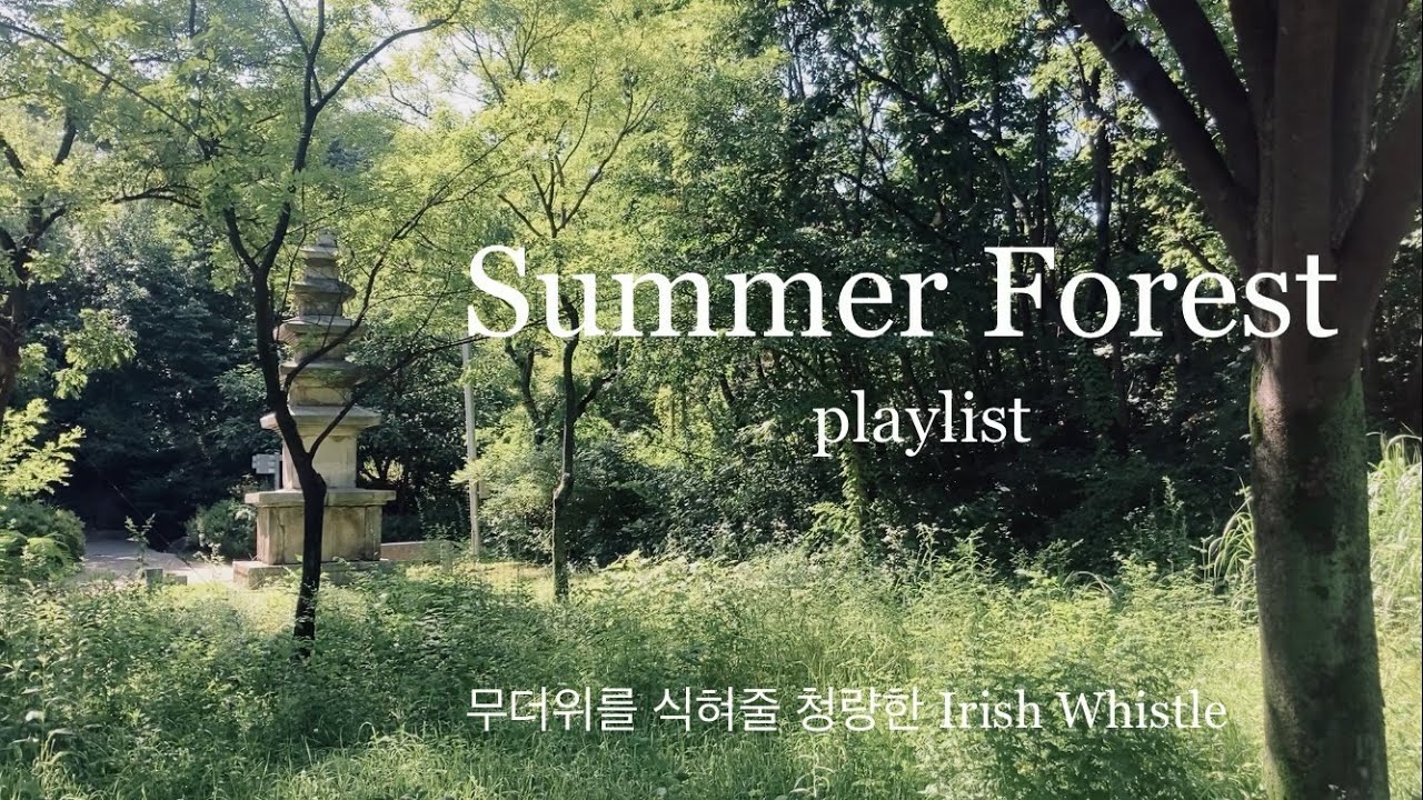 한여름 숲 속에서 듣는 청량한 아이리쉬 휘슬 Playlist