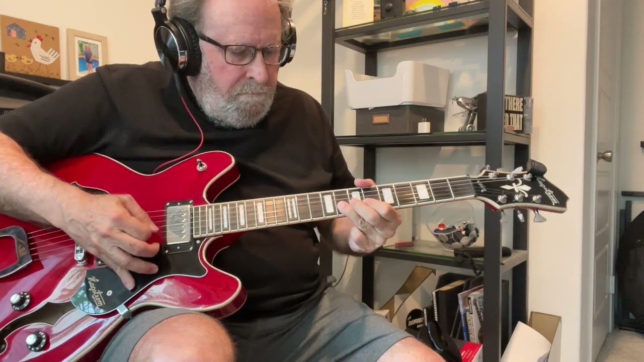 Hagstrom Viking Guitar (standard) Albert King Solo