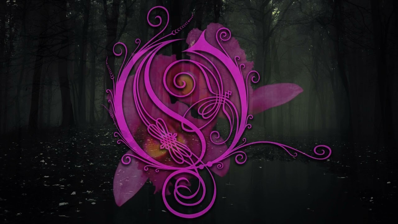 Opeth - The Amen Corner  (Acoustic Part Loop)
