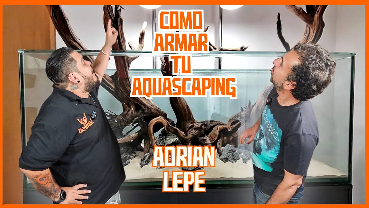 Te gustaría saber como ARMAR tu AQUASCAPING? ft ADRIAN LEPE