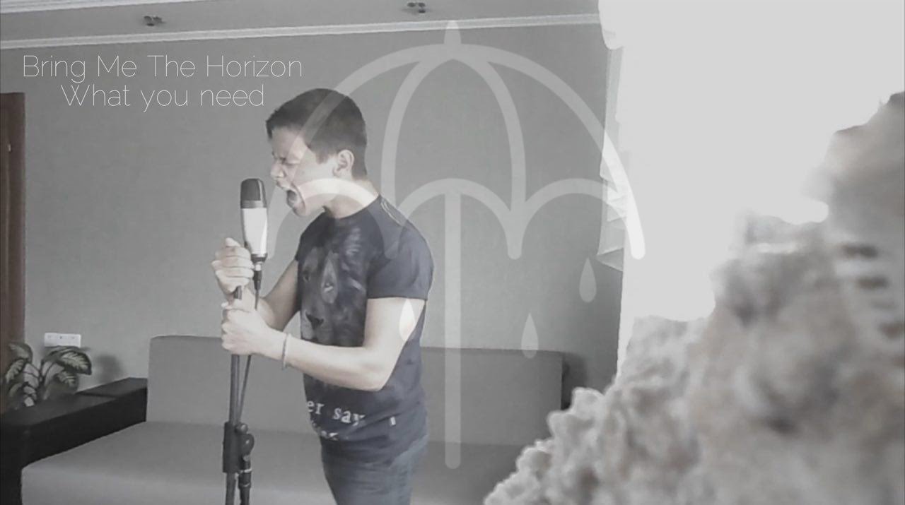 Bring Me The Horizon - What You Need (cover by Beyond The Sunset)