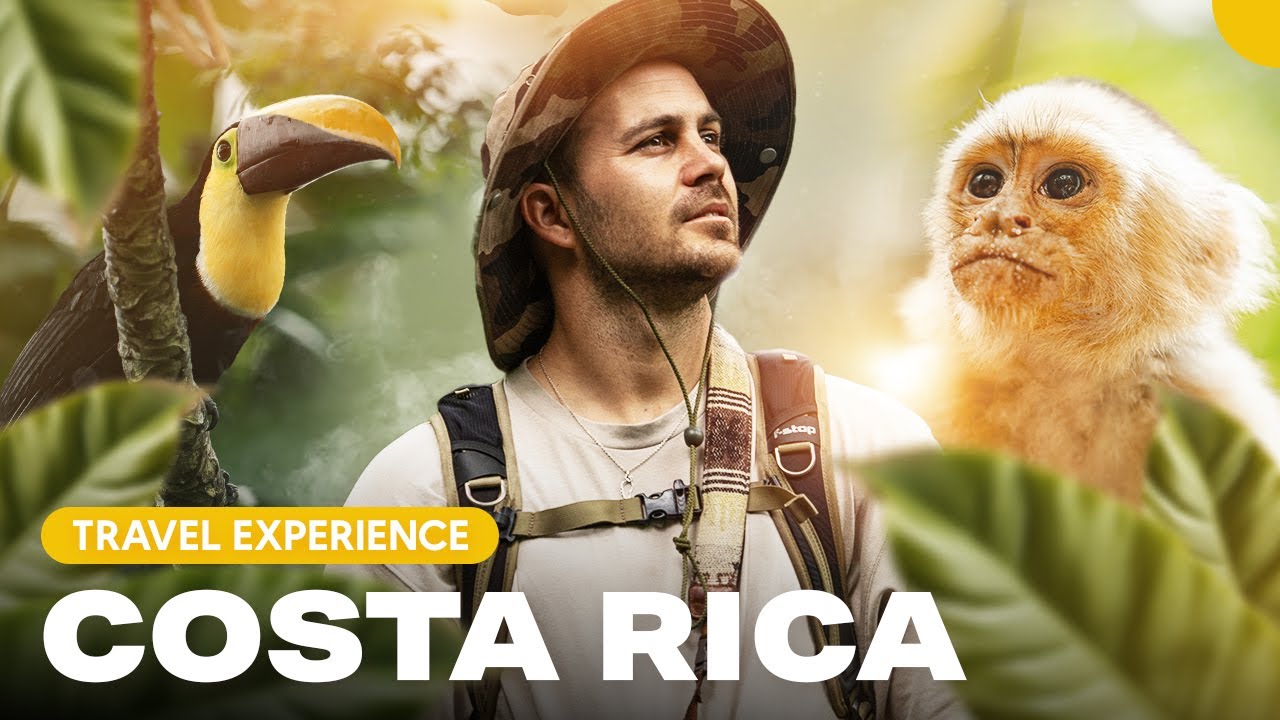 Costa Rica : &agrave; la d&eacute;couverte de sa faune sauvage unique !