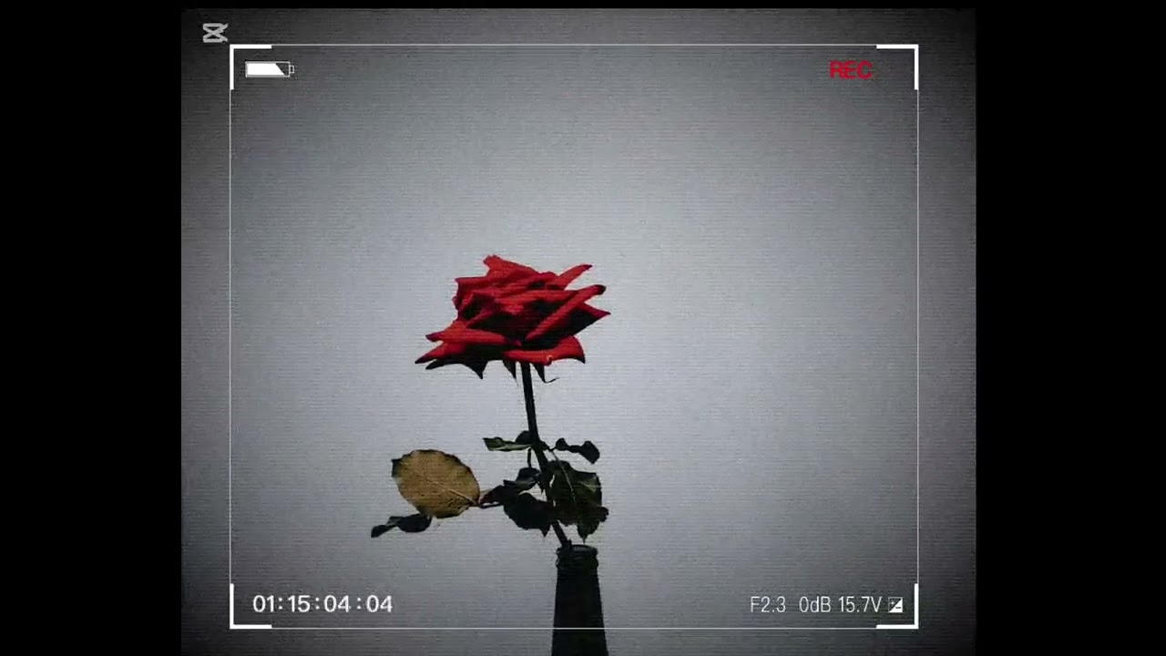 Crush On You - Zaung