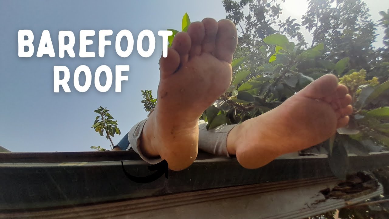 Cleaning the gutters and roof | Barefoot Homestead