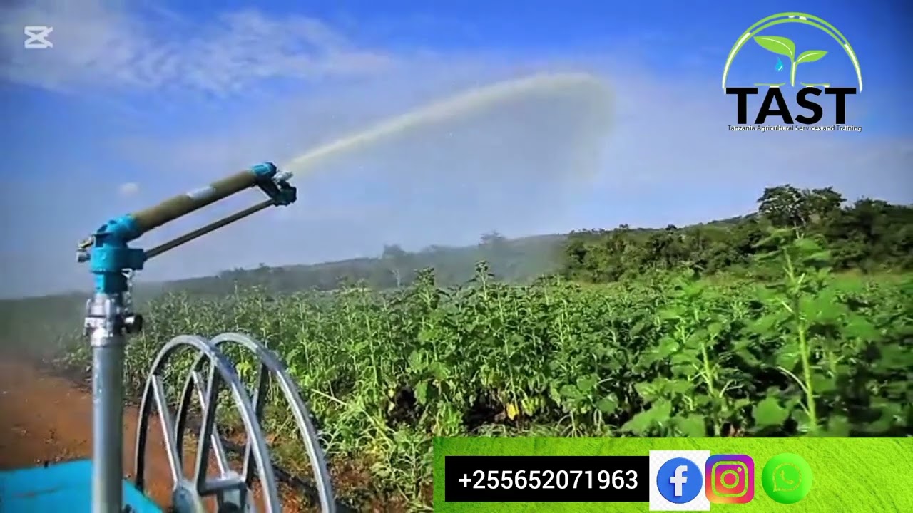 YUZUAK IRRIFORCE IRRIGATION