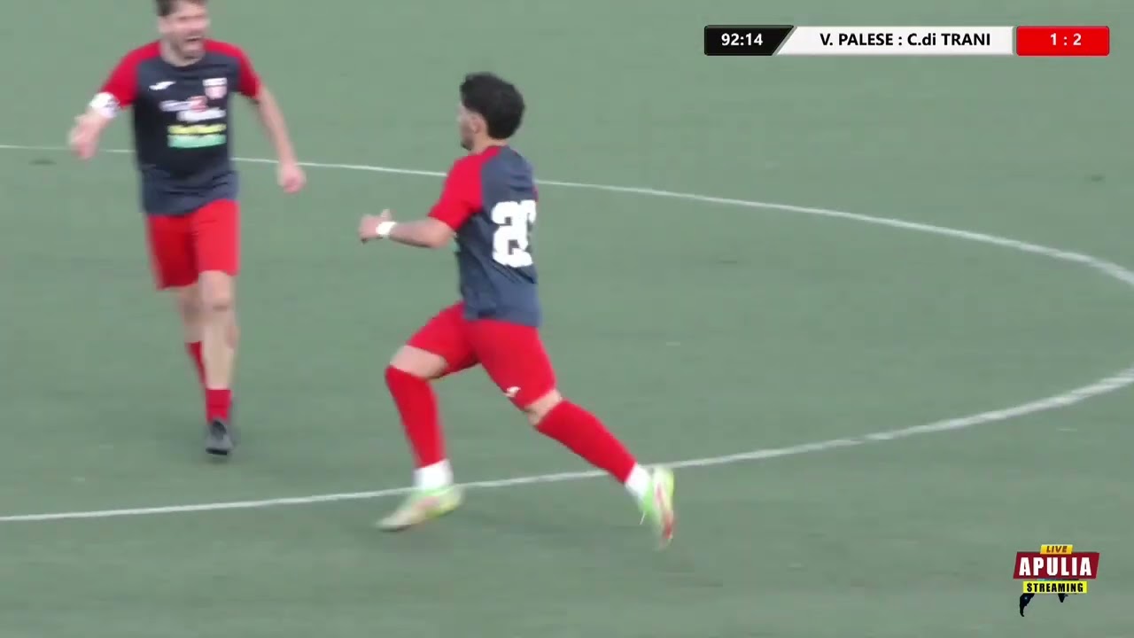Virtus Palese VS. Citta di Trani 1-2   HL