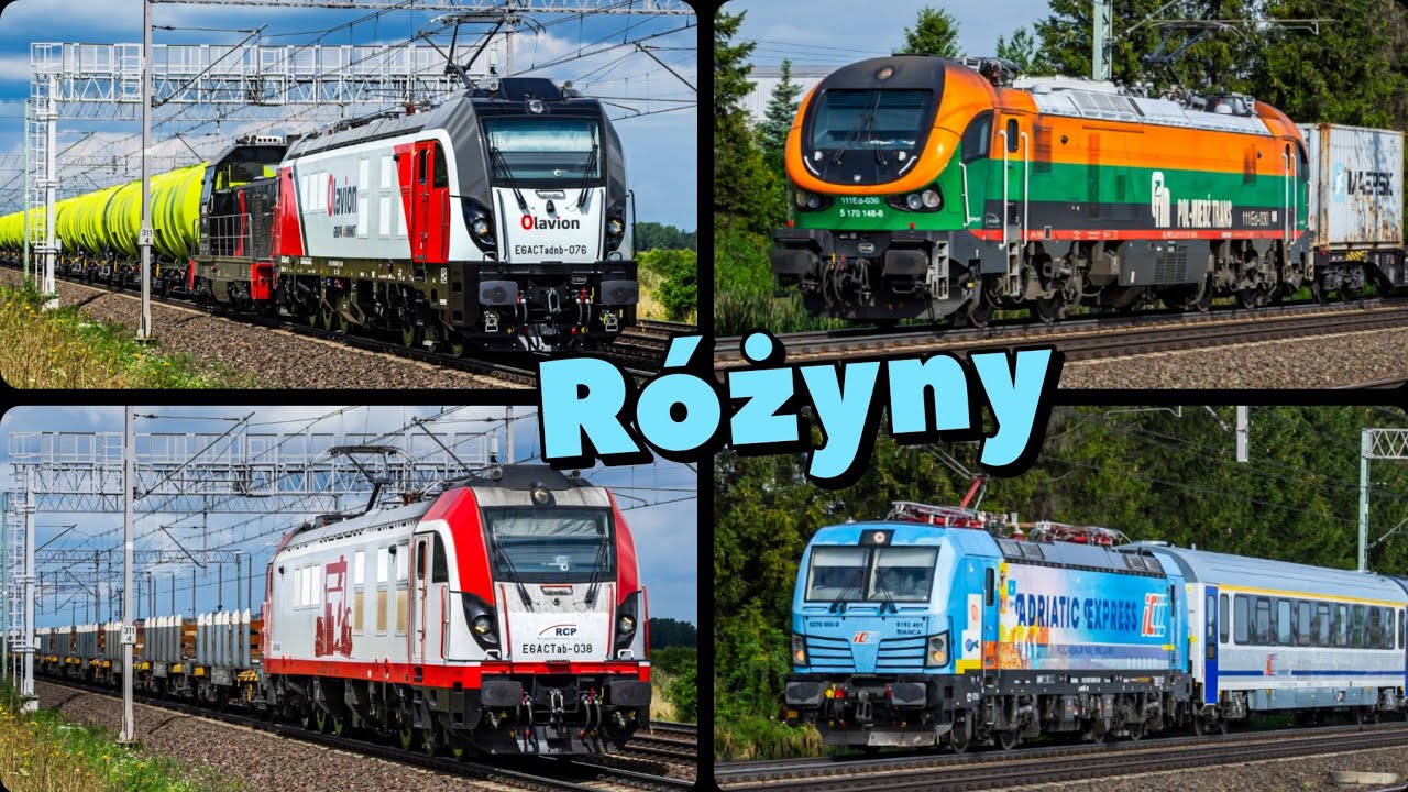 Pociągi na magistrali portowej w Różynach - wakacje 2025