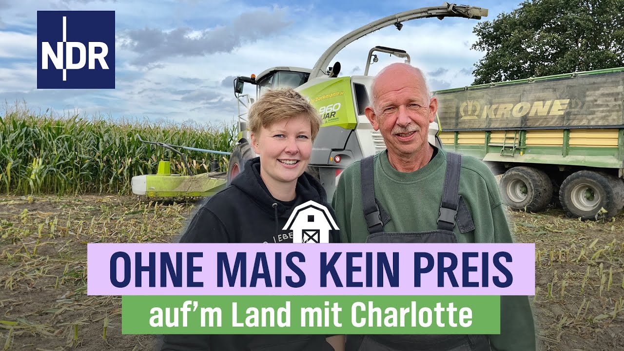 Maisernte mit großer Anspannung bei Familie Schlichting | Folge 13 | NDR auf'm Land