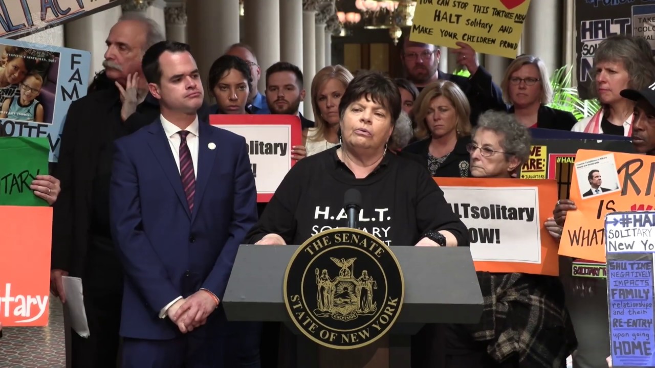New York State Legislative News Conference on the 