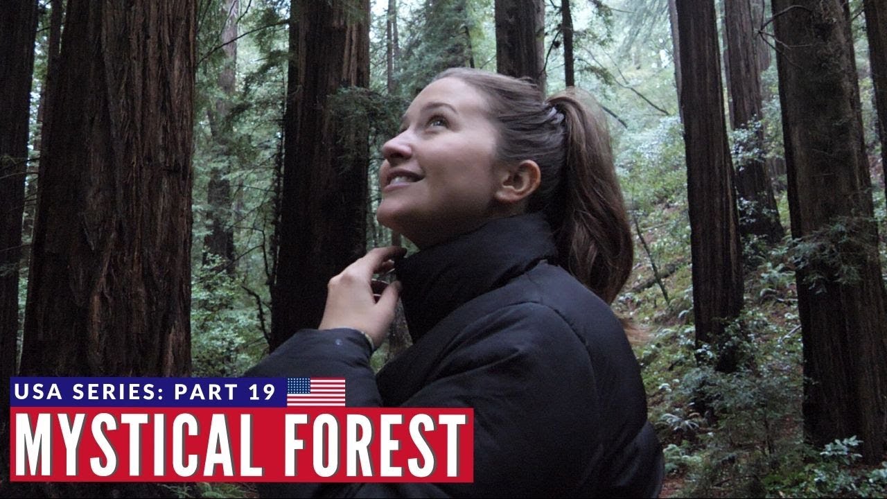 World's Tallest Trees - Muir Woods California | San Francisco VANLIFE | Brits in America Part 19
