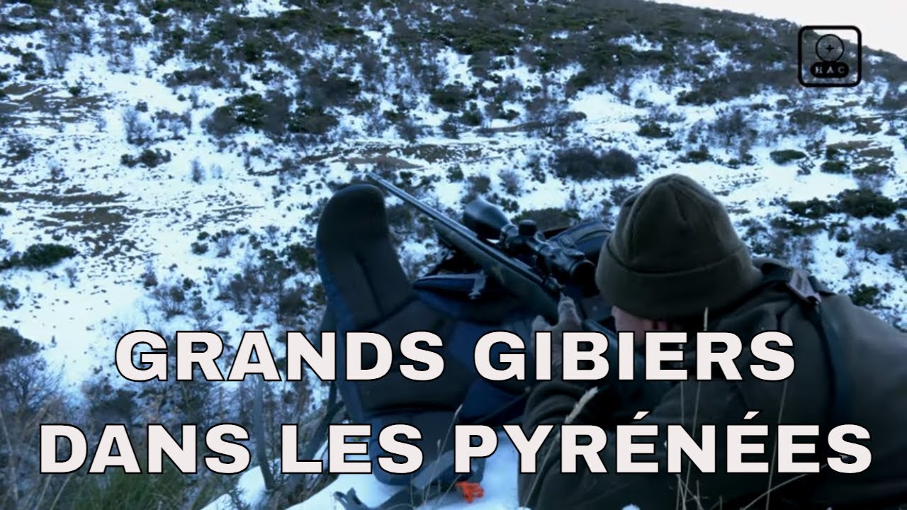 Grands gibiers dans les Pyrénées (4K)