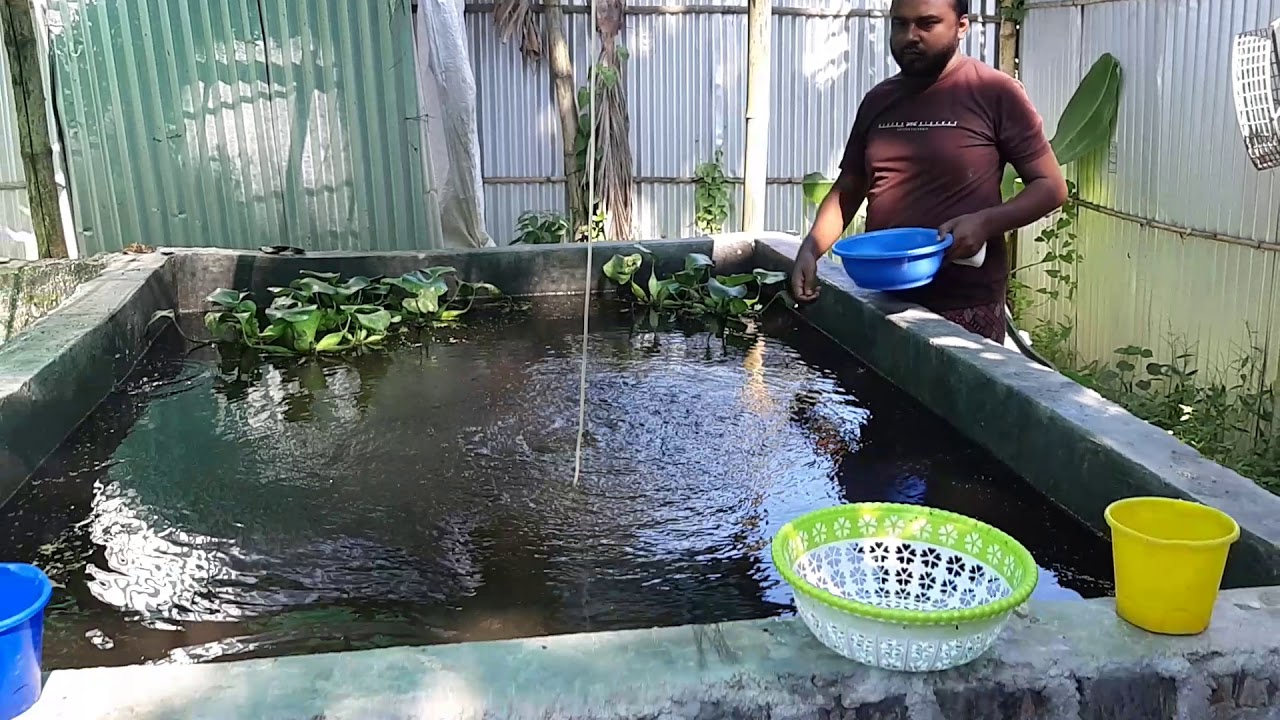 Bottom clean system Combine culture .  hvy fish growth n simple cost. No headache 7635859822