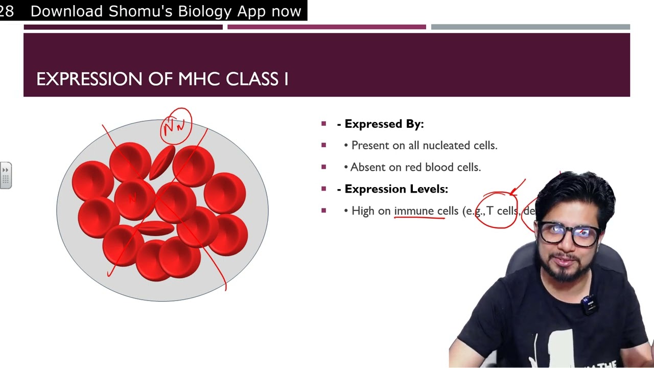 MHC class 1 structure and function | Major histocompatibility complex 1 lecture | Shomu's Biology