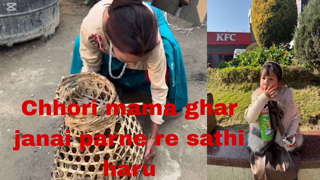 Vlog eps-31  aaj Nani le hattu hairan khelayo sathi haru ..