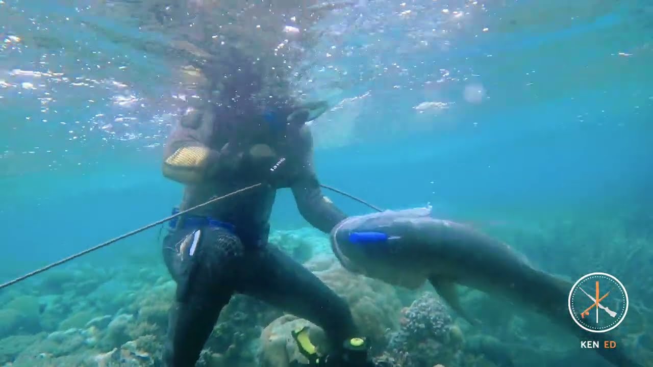 Catch and Cook in Pohnpei: Spearfishing Adventure Episode 1
