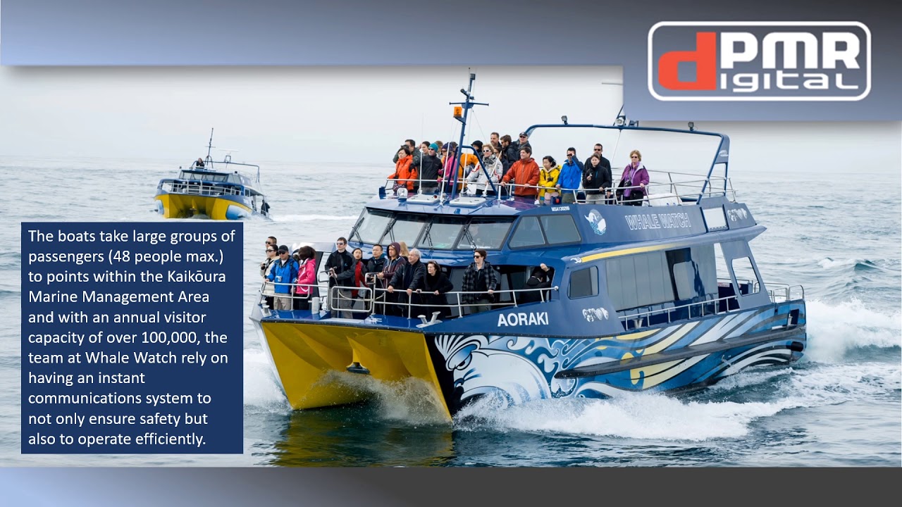 dPMR Whale Watch KaikōuraNew Zealand