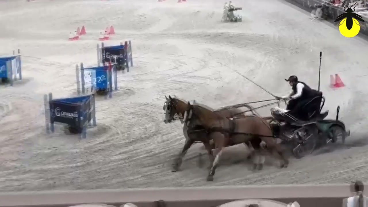 Cavaliada Sopot 2025