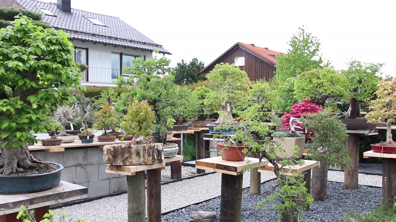 Bonsai Garden Munich