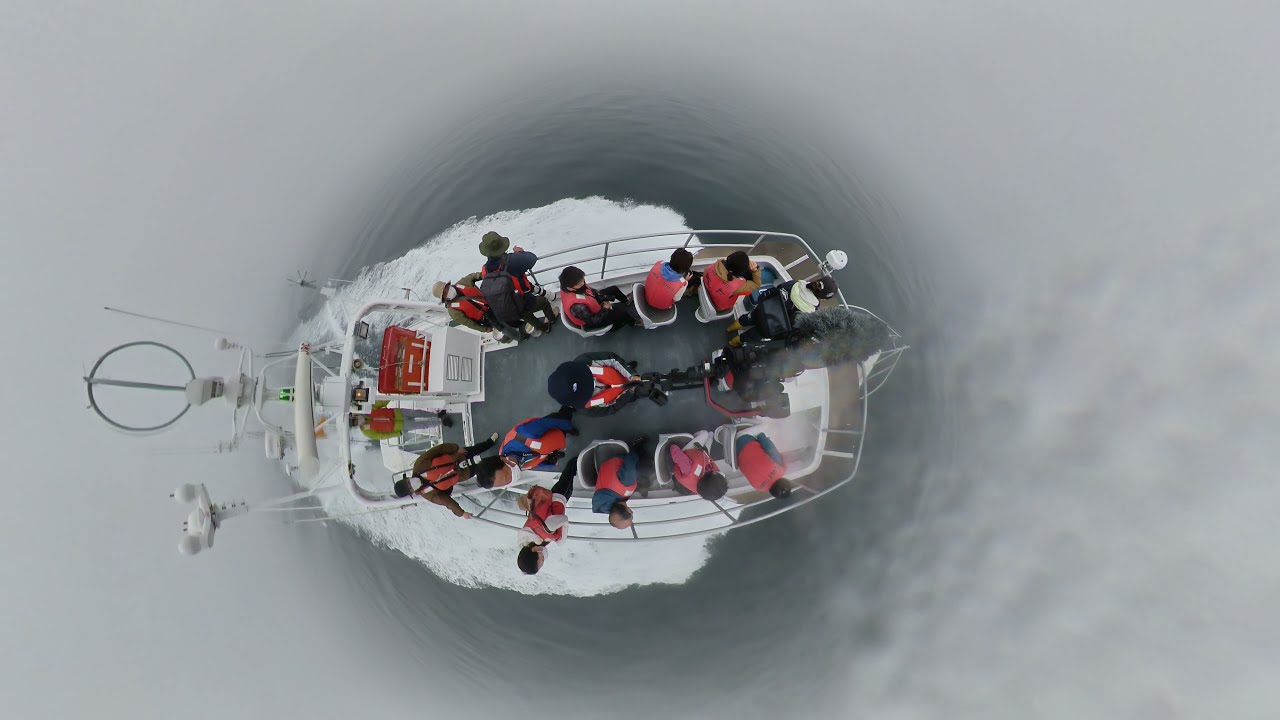 北海道知床沖シャチの大群　静かな海は幻想的な世界だった