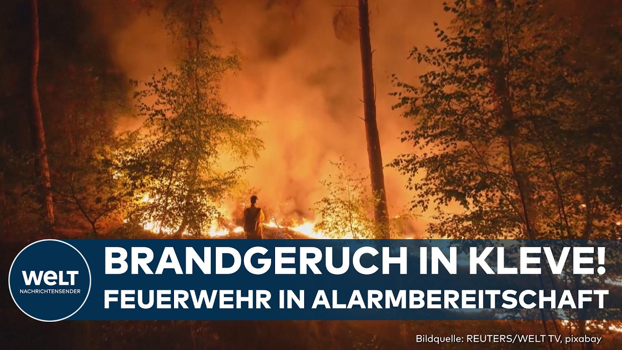 NIEDERLANDE: Flammen r&uuml;cken auf Deutschland zu! Waldbrand au&szlig;er Kontrolle!
